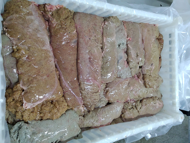 imagen de salmón en lonjas grandes